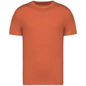 Native Spirit Unisex Adult Heavyweight Slim T-Shirt / Burnt Brick